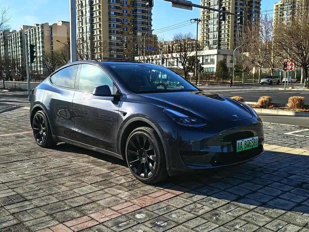 Tesla Model Y 2024 Rear-Wheel Drive 2024 - thumbnail 3