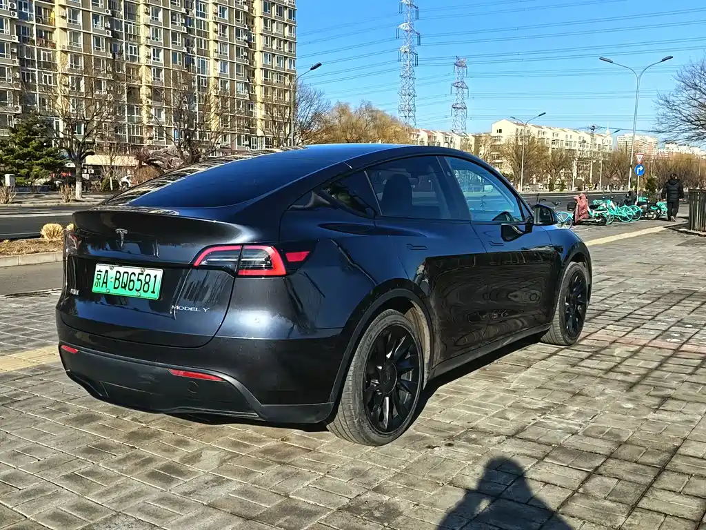 Tesla Model Y 2024 Rear-Wheel Drive 2024 - thumbnail 6