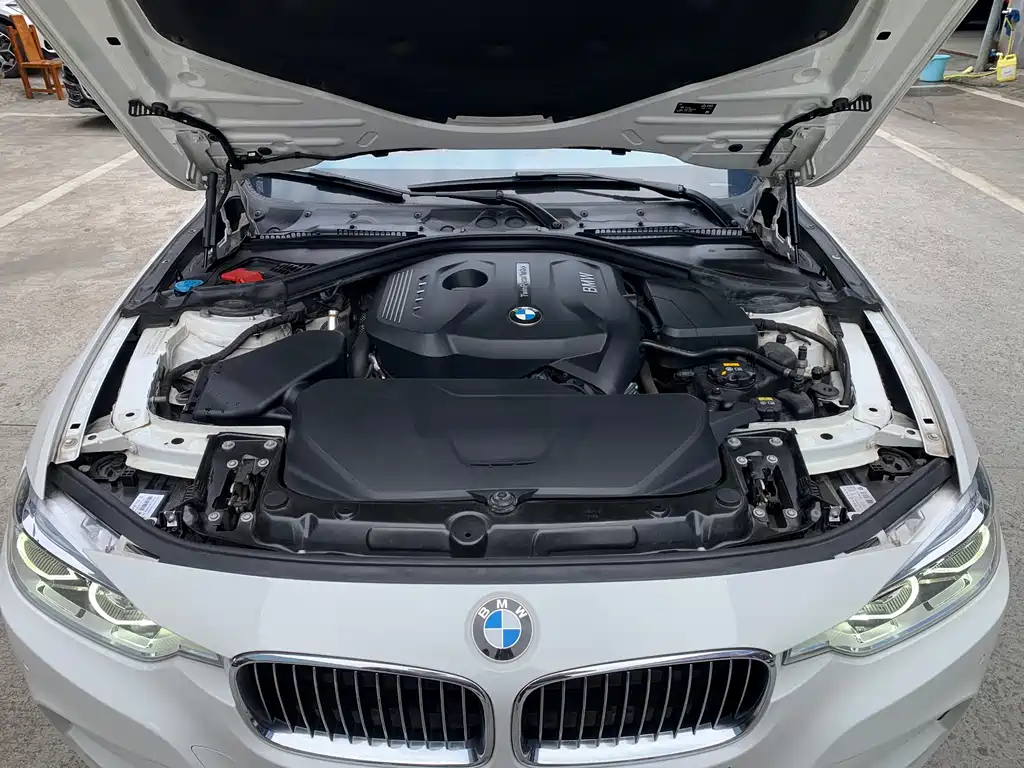 BMW BMW 3 Series 2019 320Li M Sport Package 2019 - thumbnail 9