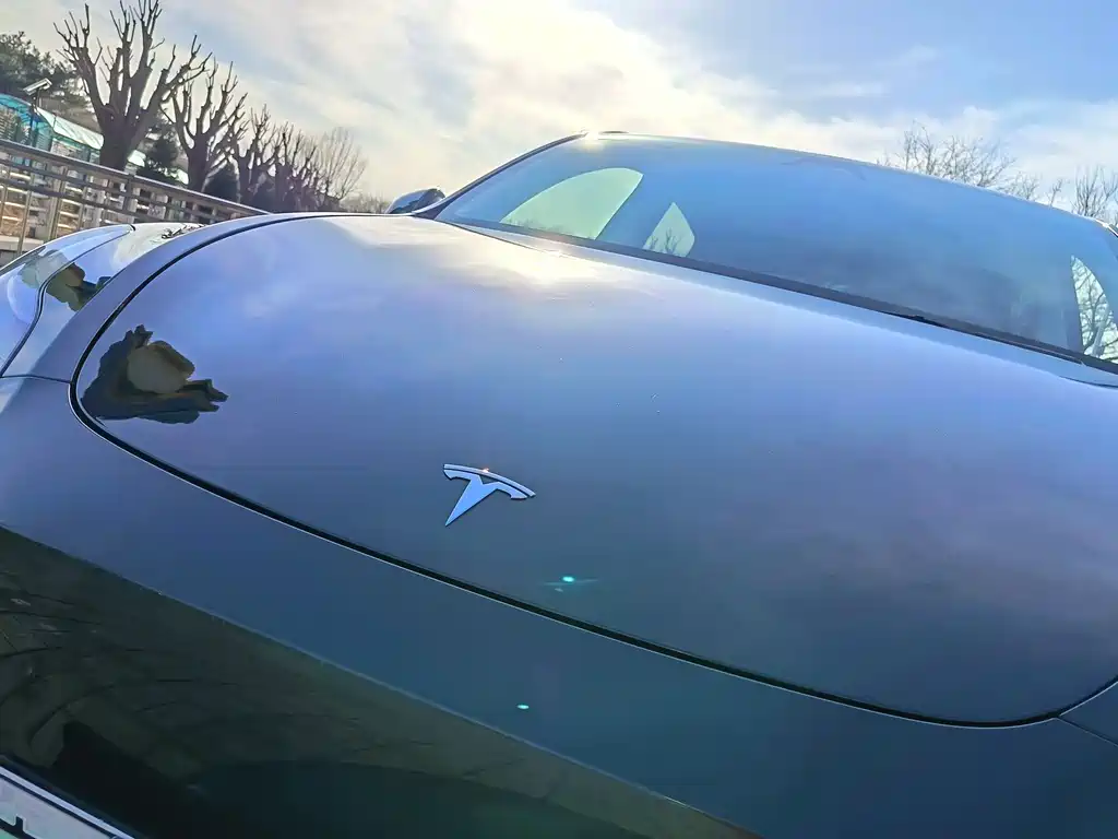 Tesla Model Y 2024 Rear-Wheel Drive 2024 - thumbnail 22