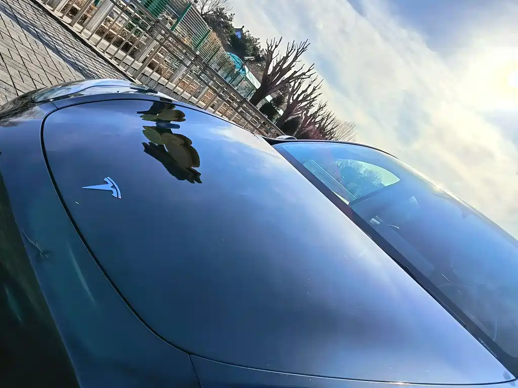 Tesla Model Y 2024 Rear-Wheel Drive 2024 - thumbnail 23