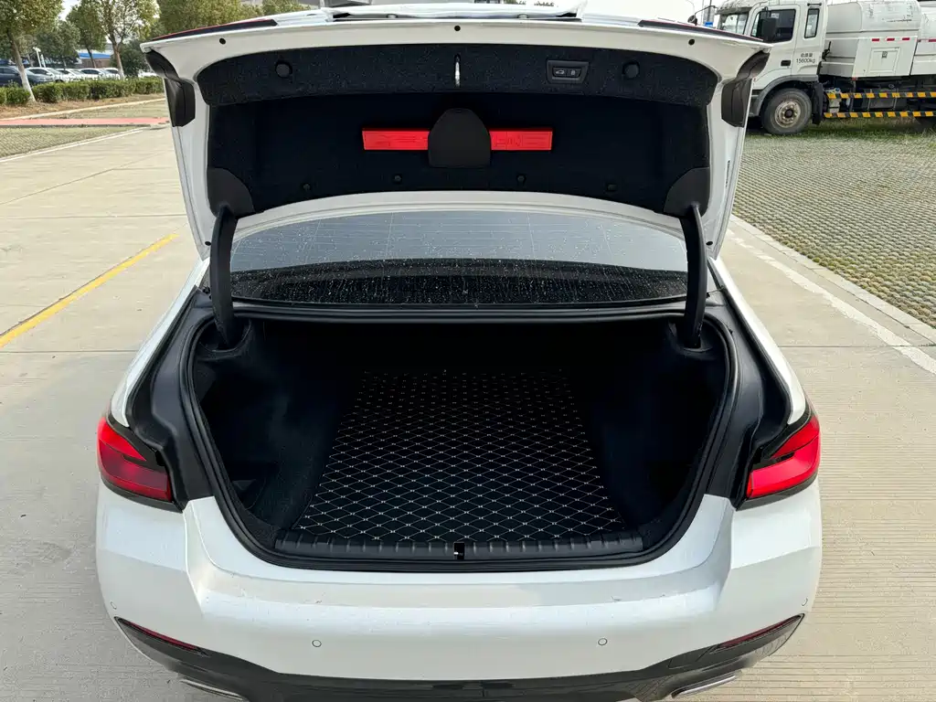 BMW BMW 5 Series 2023 530Li Leading Model M Sport Package 2023 - thumbnail 13