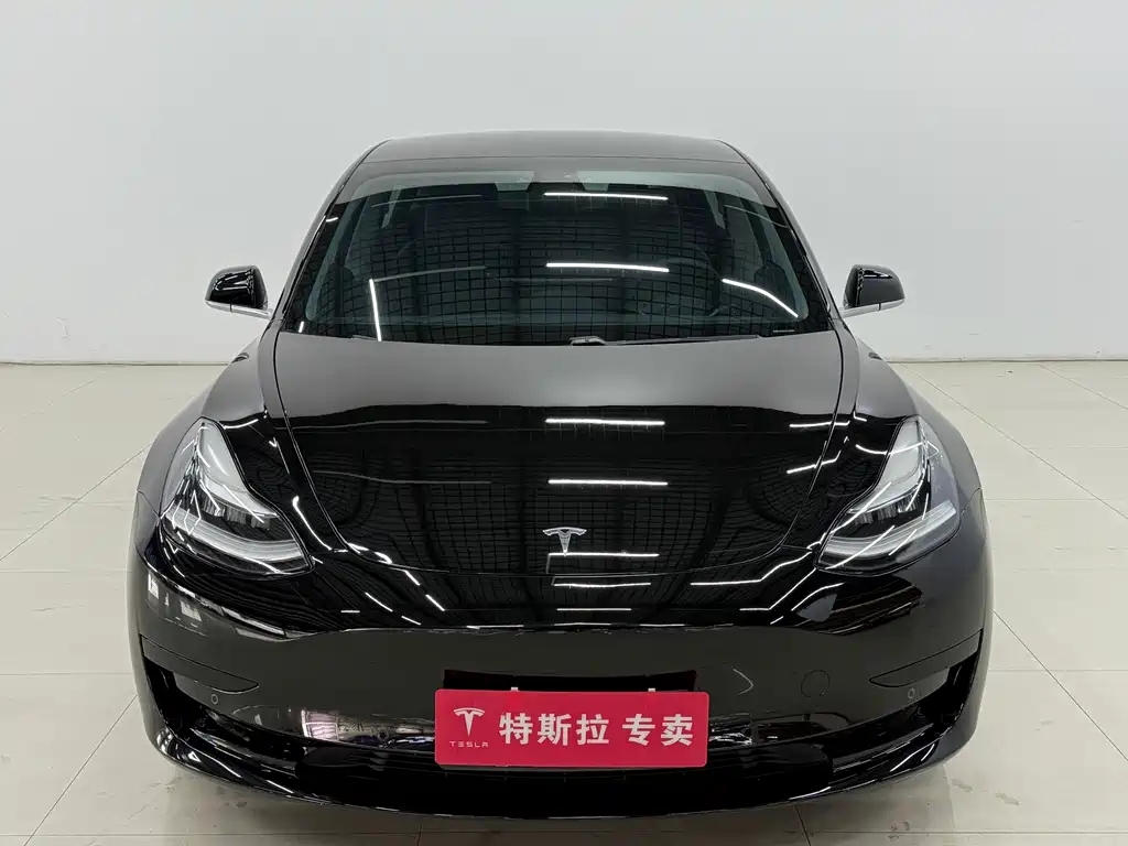 Tesla Model 3 Standard Range Plus Rear-Wheel Drive 2020 2020