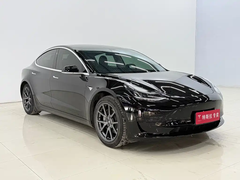 Tesla Model 3 Standard Range Plus Rear-Wheel Drive 2020 2020 - thumbnail 3