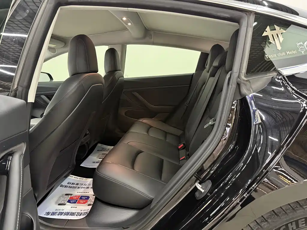 Tesla Model 3 Standard Range Plus Rear-Wheel Drive 2020 2020 - thumbnail 6
