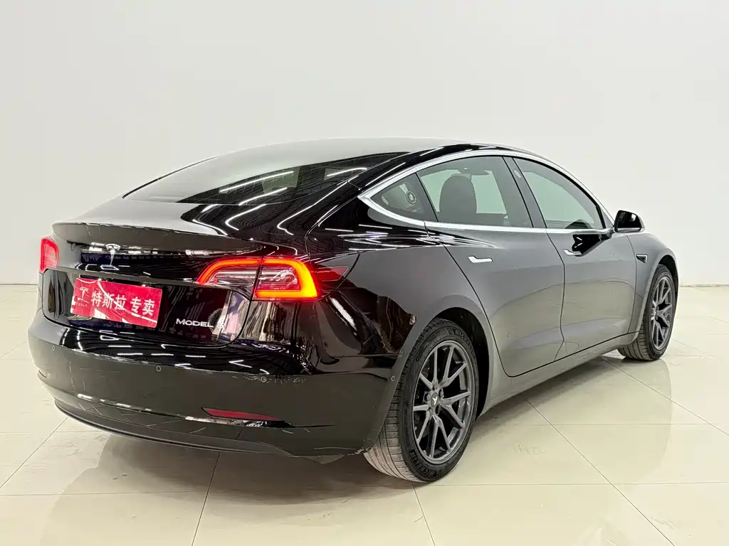 Tesla Model 3 Standard Range Plus Rear-Wheel Drive 2020 2020 - thumbnail 8