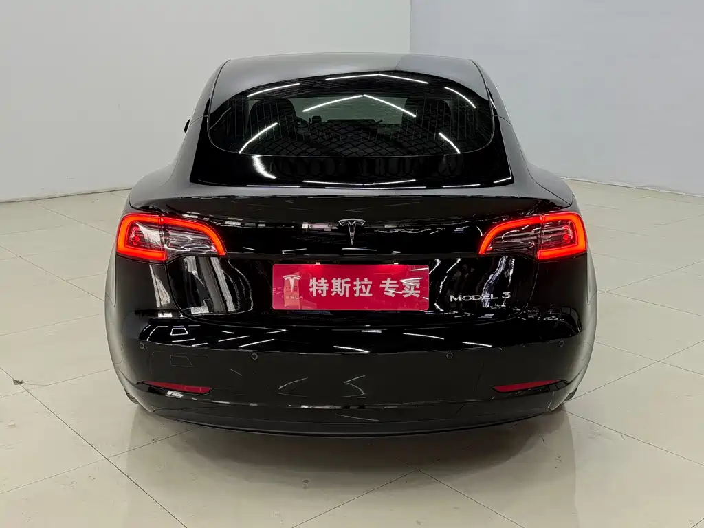 Tesla Model 3 Standard Range Plus Rear-Wheel Drive 2020 2020 - thumbnail 9