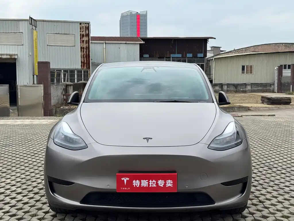 Tesla Model Y 2022 Rear-Wheel Drive Version 2022 - thumbnail 2
