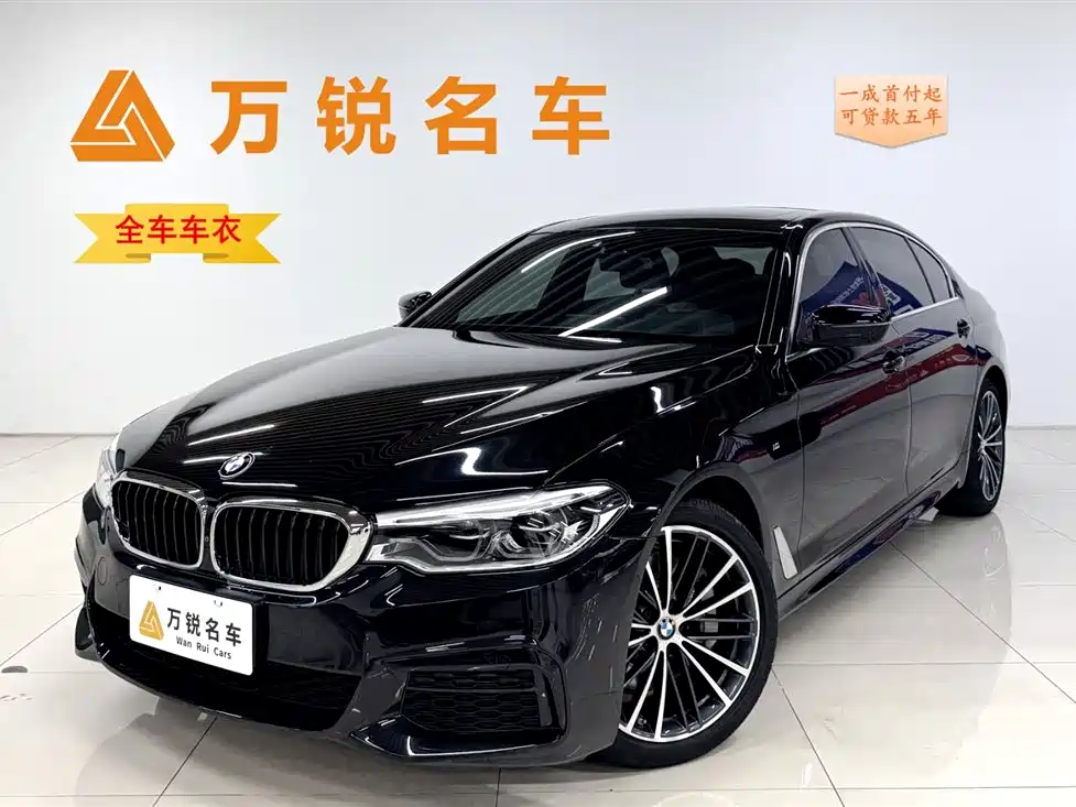 BMW BMW 5 Series 2020 530Li Luxury M Sport Package 2020