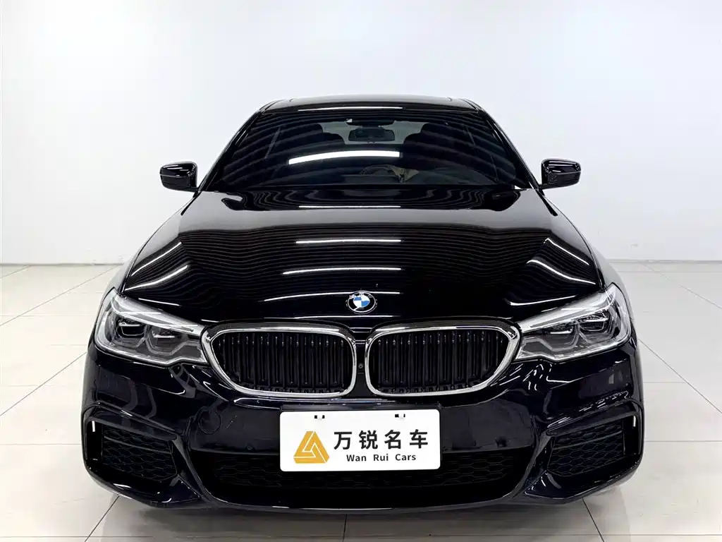 BMW BMW 5 Series 2020 530Li Luxury M Sport Package 2020 - thumbnail 2