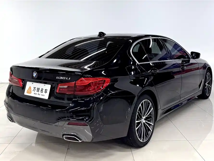 BMW BMW 5 Series 2020 530Li Luxury M Sport Package 2020 - thumbnail 3