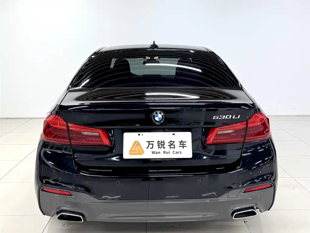 BMW BMW 5 Series 2020 530Li Luxury M Sport Package 2020 - thumbnail 4