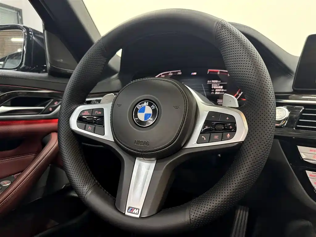 BMW BMW 5 Series 2020 530Li Luxury M Sport Package 2020 - thumbnail 13