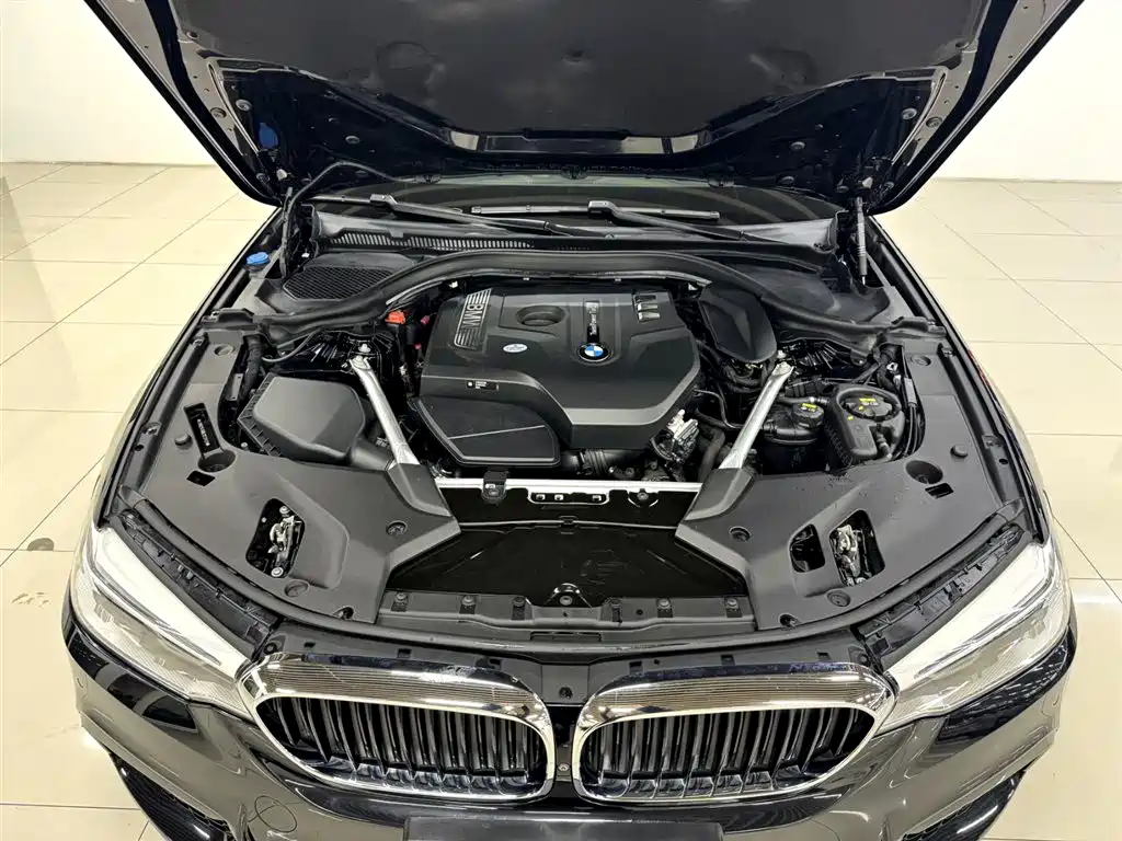 BMW BMW 5 Series 2020 530Li Luxury M Sport Package 2020 - thumbnail 22