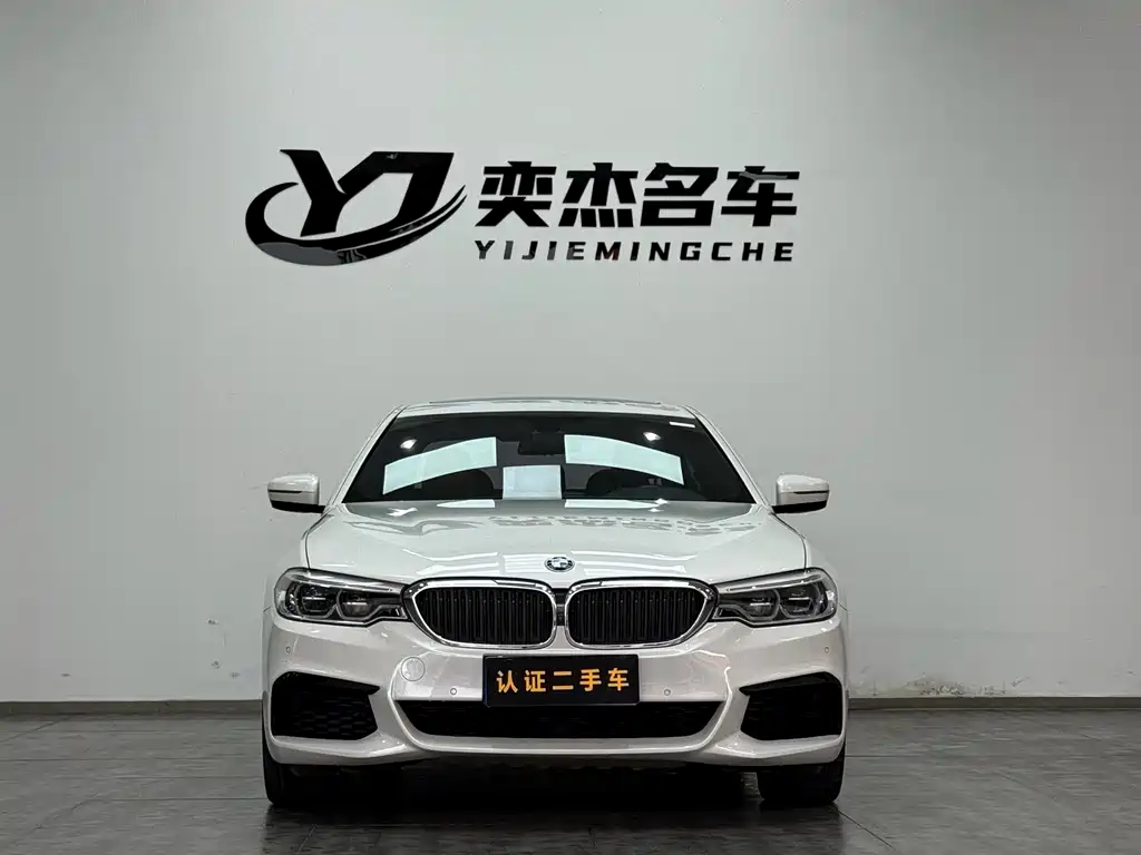 BMW BMW 5 Series 2020 530Li Leading Model M Sport Package 2020 - thumbnail 2