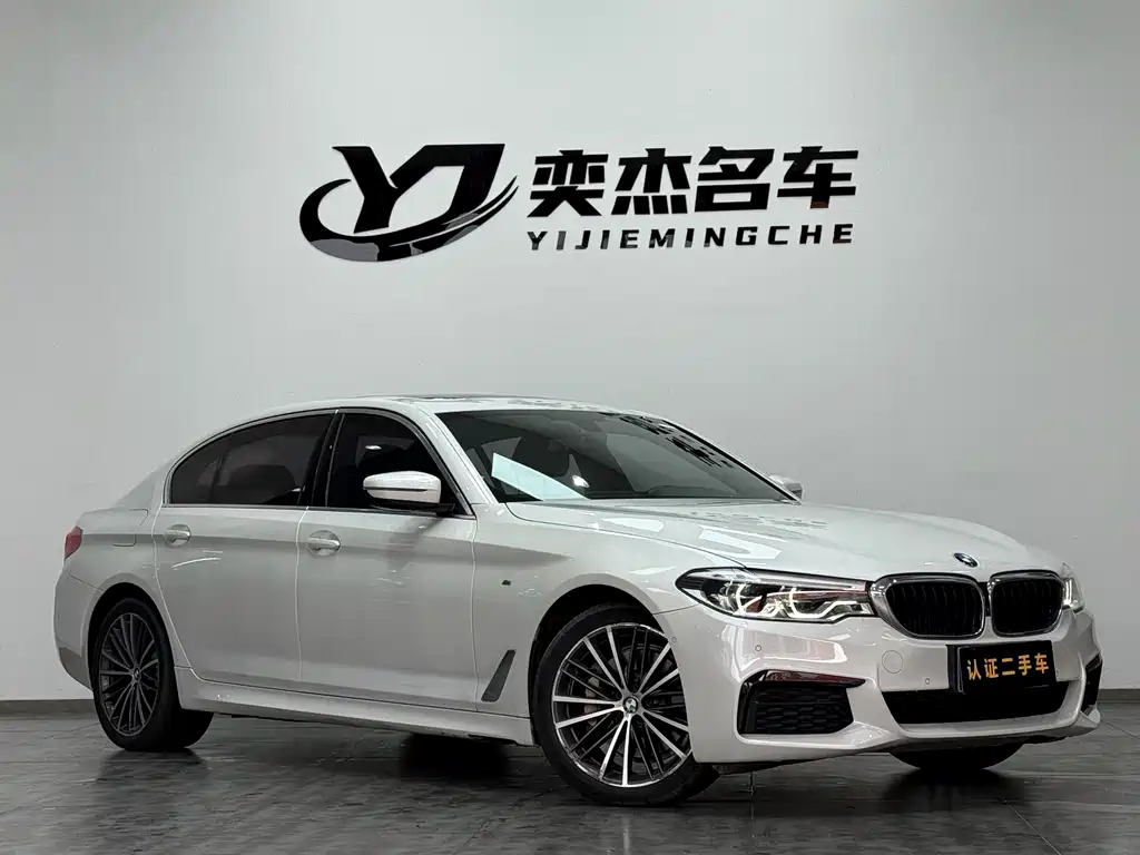 BMW BMW 5 Series 2020 530Li Leading Model M Sport Package 2020 - thumbnail 3