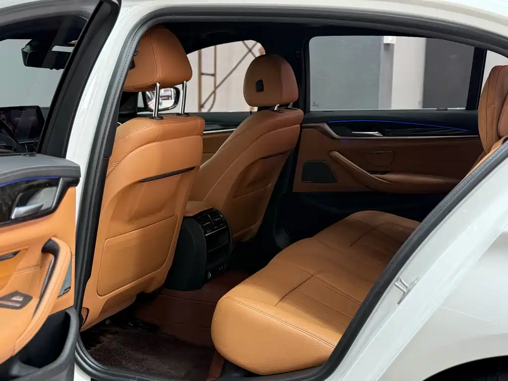 BMW BMW 5 Series 2020 530Li Leading Model M Sport Package 2020 - thumbnail 5