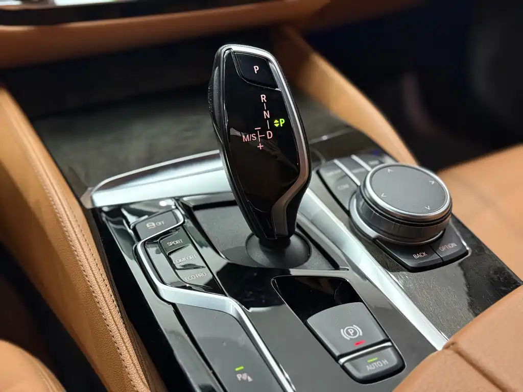 BMW BMW 5 Series 2020 530Li Leading Model M Sport Package 2020 - thumbnail 7