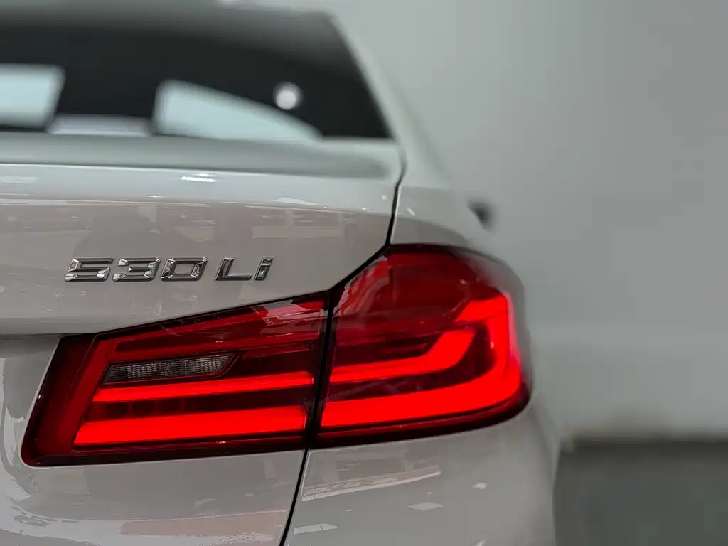 BMW BMW 5 Series 2020 530Li Leading Model M Sport Package 2020 - thumbnail 18
