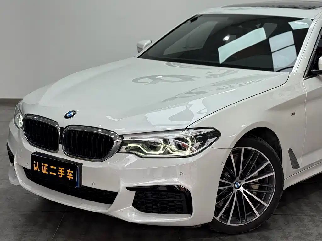 BMW BMW 5 Series 2020 530Li Leading Model M Sport Package 2020 - thumbnail 19