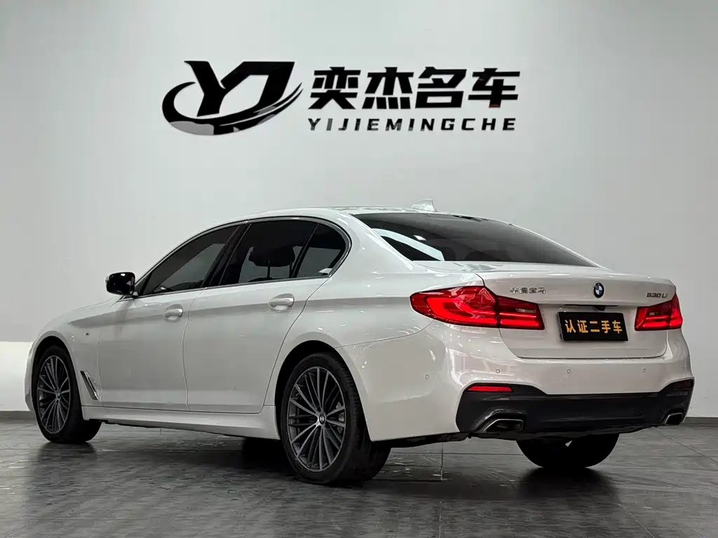 BMW BMW 5 Series 2020 530Li Leading Model M Sport Package 2020 - thumbnail 21