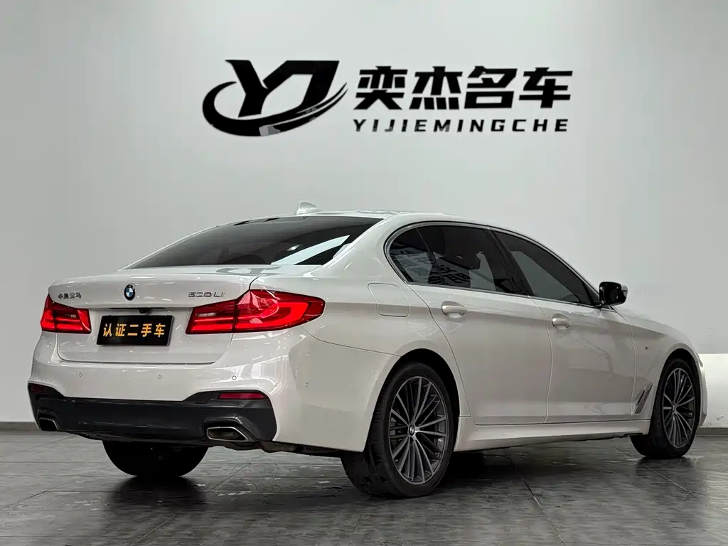 BMW BMW 5 Series 2020 530Li Leading Model M Sport Package 2020 - thumbnail 23
