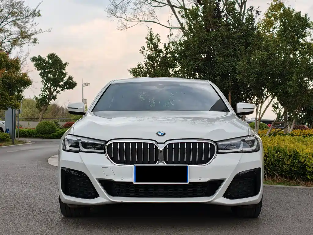 BMW BMW 5 Series 2022 530Li Luxury M Sport Package 2022 - thumbnail 2