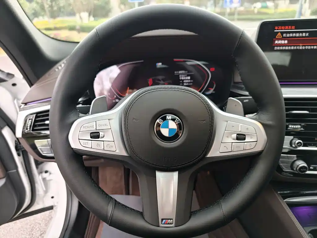BMW BMW 5 Series 2022 530Li Luxury M Sport Package 2022 - thumbnail 29