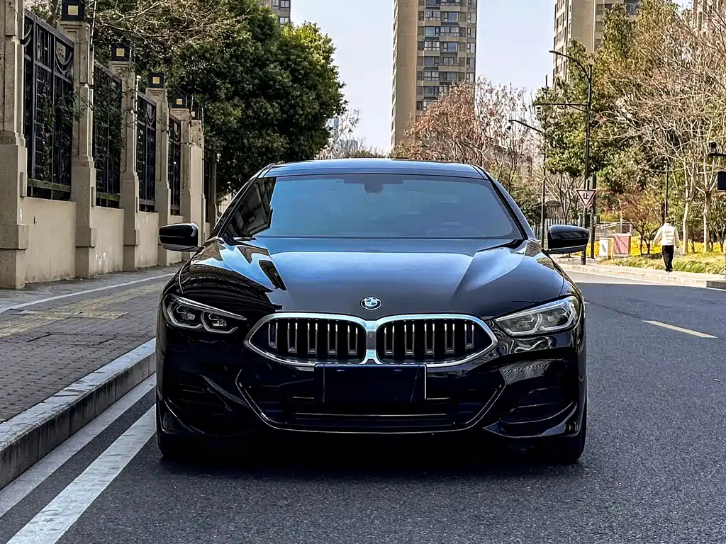 BMW BMW 8 Series 2022 840i Four-Door Coupe M Sport Package 2023 - thumbnail 2