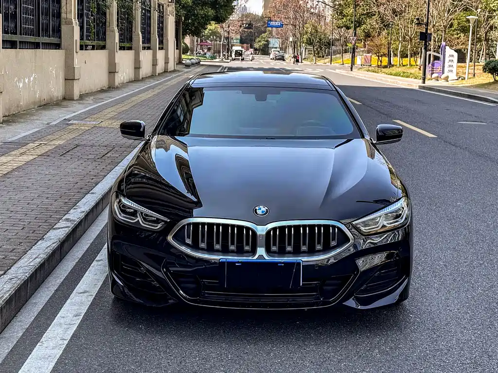BMW BMW 8 Series 2022 840i Four-Door Coupe M Sport Package 2023 - thumbnail 17