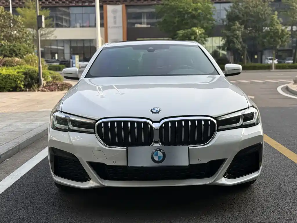 BMW BMW 5 Series 2023 530Li Leading Model M Sport Package 2024 - thumbnail 2