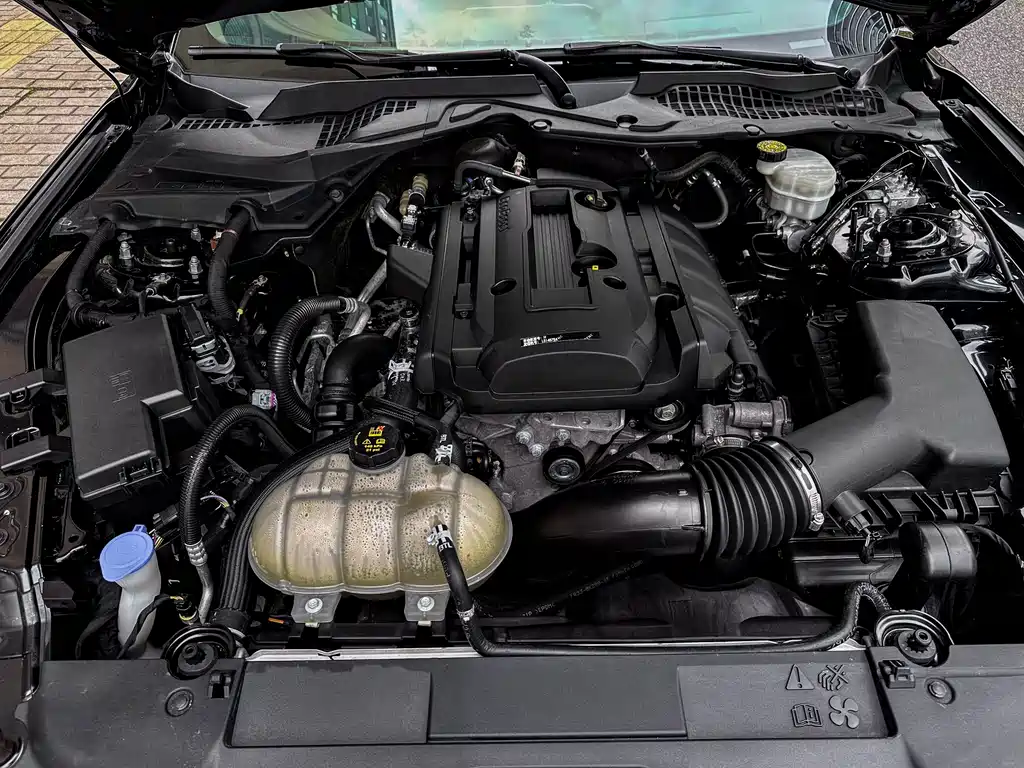 Ford Mustang 2020 2.3L EcoBoost 2022 - thumbnail 15