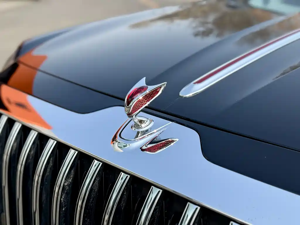 Hongqi Hongqi Jin Kui Hua Guo Ya 2024 3.0T V6 2025 - thumbnail 17