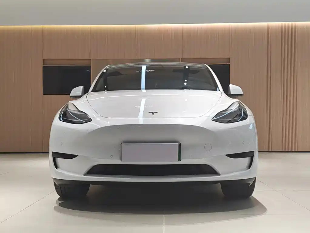 Tesla Model Y 2023 Rear-Wheel Drive 2023 - thumbnail 2