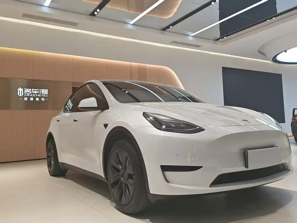 Tesla Model Y 2023 Rear-Wheel Drive 2023 - thumbnail 3