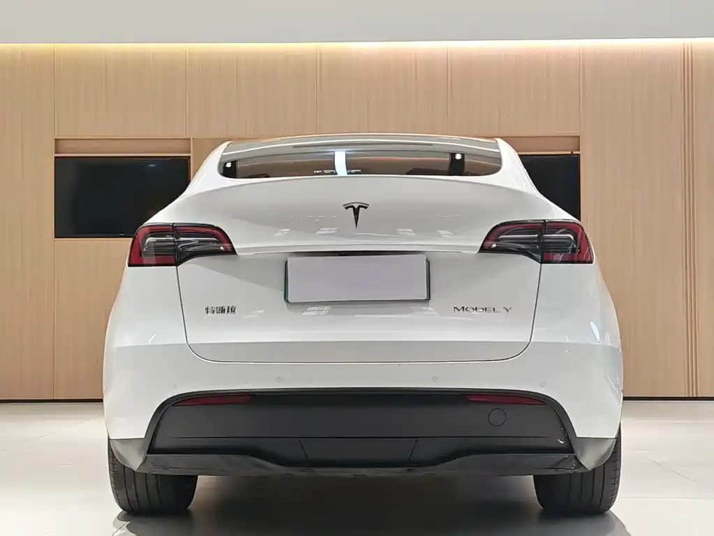 Tesla Model Y 2023 Rear-Wheel Drive 2023 - thumbnail 6