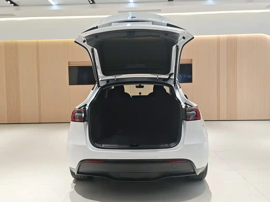 Tesla Model Y 2023 Rear-Wheel Drive 2023 - thumbnail 8