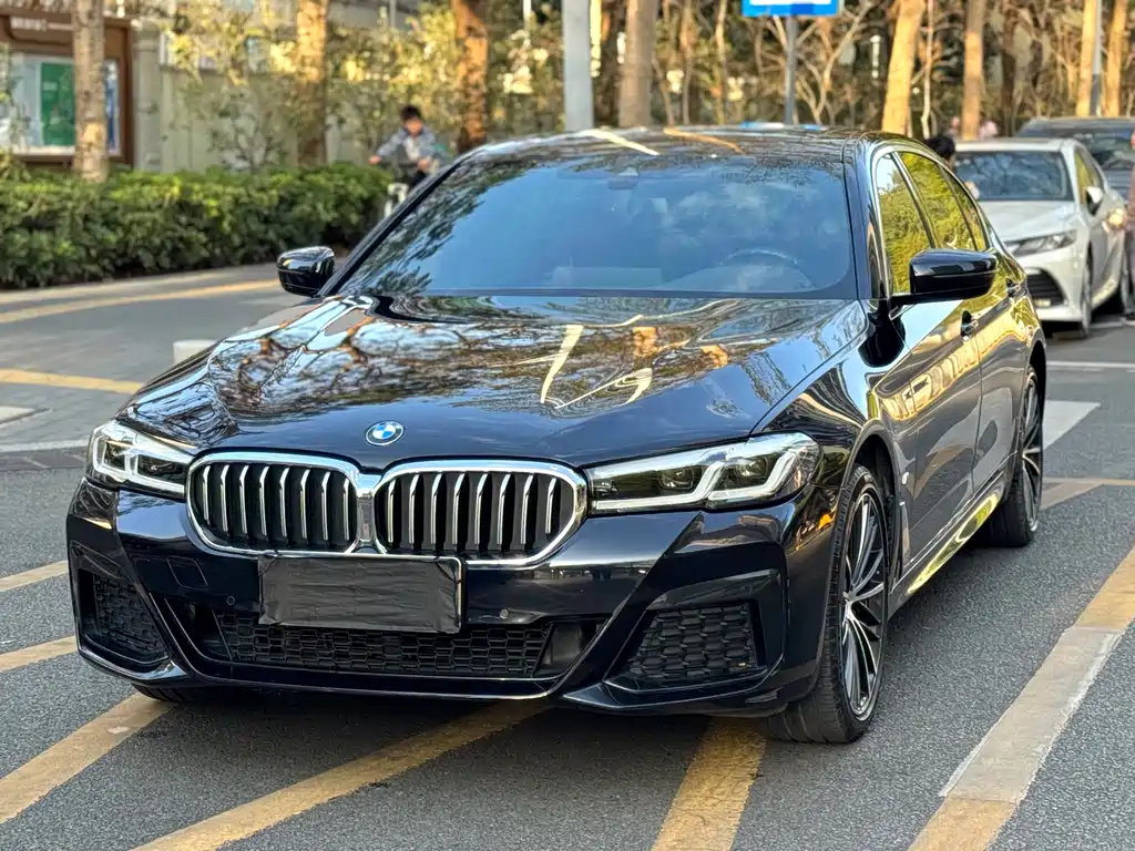 BMW BMW 5 Series 2023 530Li Leading Model M Sport Package 2023 - thumbnail 3