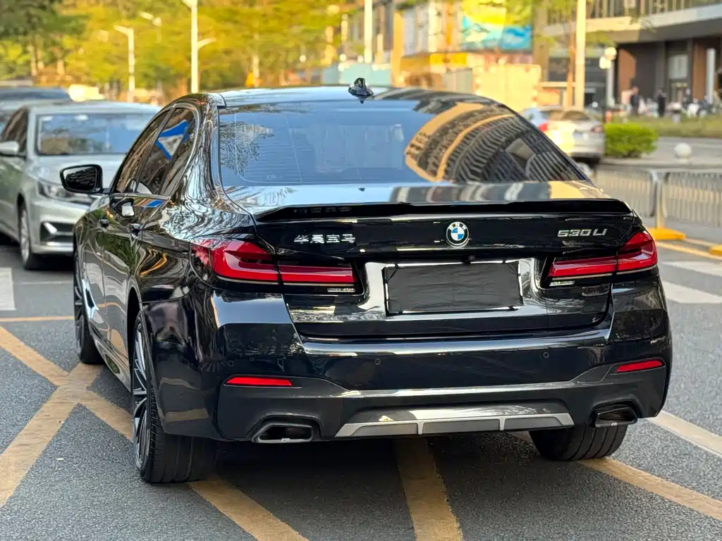 BMW BMW 5 Series 2023 530Li Leading Model M Sport Package 2023 - thumbnail 19