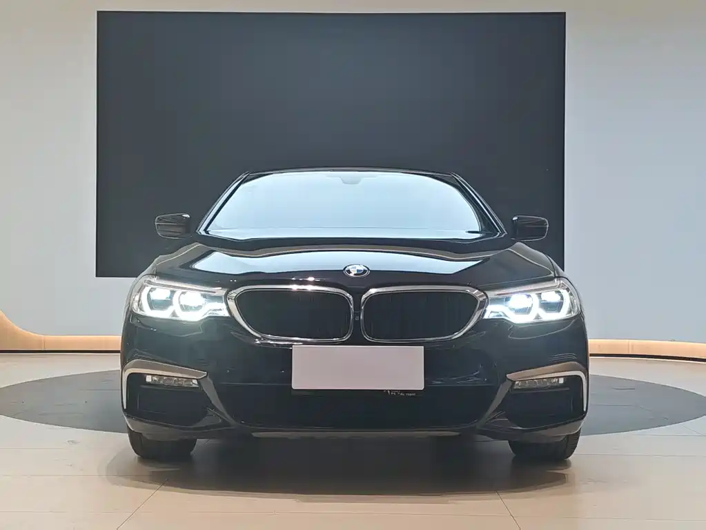 BMW BMW 5 Series 2018 530Li Luxury M Sport Package 2018 - thumbnail 2