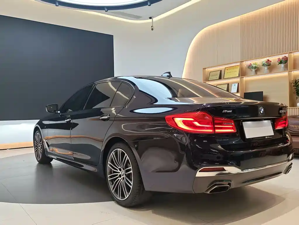 BMW BMW 5 Series 2018 530Li Luxury M Sport Package 2018 - thumbnail 4