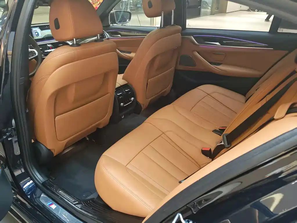 BMW BMW 5 Series 2018 530Li Luxury M Sport Package 2018 - thumbnail 10