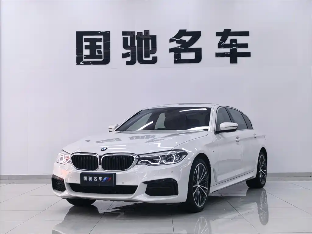 BMW BMW 5 Series 2020 530Li Luxury M Sport Package 2020
