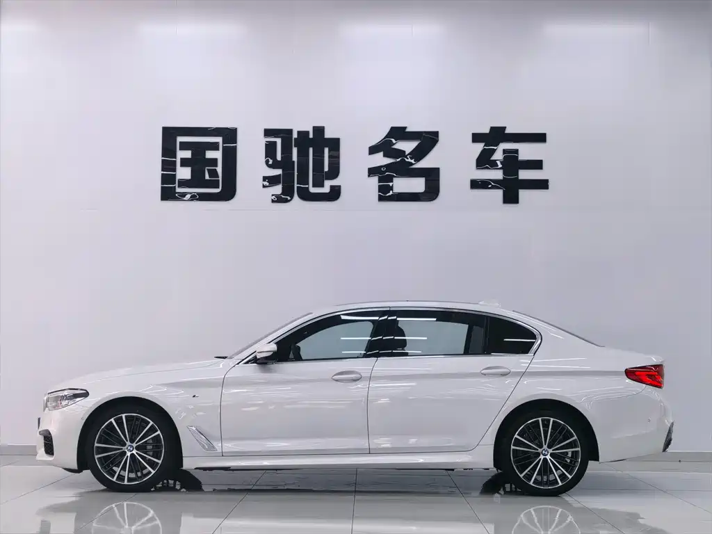 BMW BMW 5 Series 2020 530Li Luxury M Sport Package 2020 - thumbnail 3