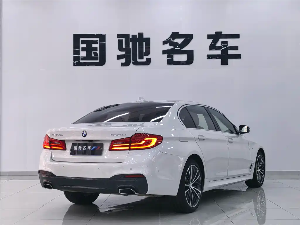 BMW BMW 5 Series 2020 530Li Luxury M Sport Package 2020 - thumbnail 5