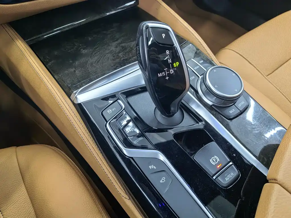BMW BMW 5 Series 2020 530Li Luxury M Sport Package 2020 - thumbnail 11