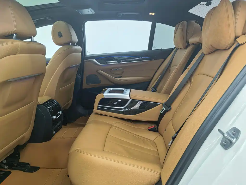 BMW BMW 5 Series 2020 530Li Luxury M Sport Package 2020 - thumbnail 13