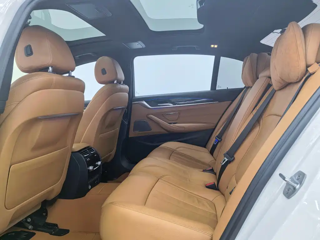 BMW BMW 5 Series 2020 530Li Luxury M Sport Package 2020 - thumbnail 14