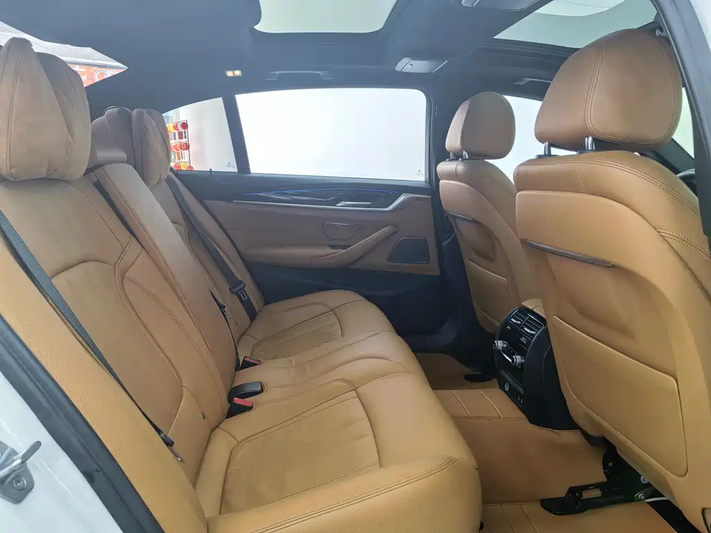 BMW BMW 5 Series 2020 530Li Luxury M Sport Package 2020 - thumbnail 16