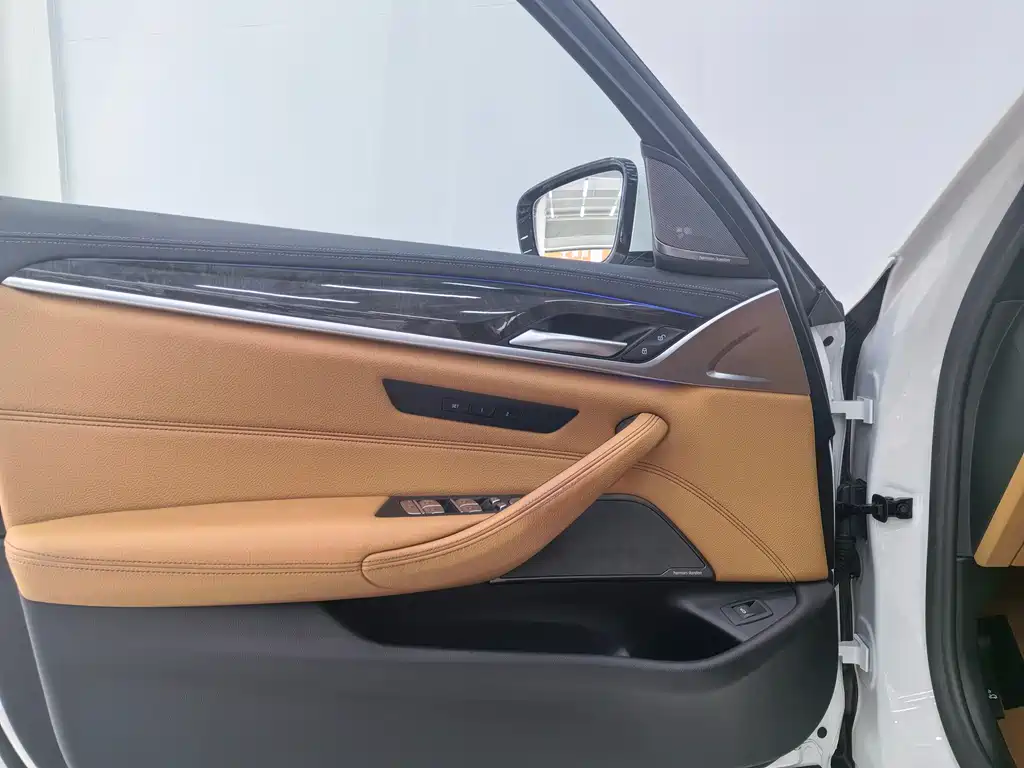 BMW BMW 5 Series 2020 530Li Luxury M Sport Package 2020 - thumbnail 17